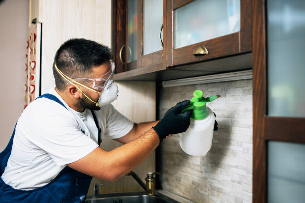 Best Rat Extermination Near Me  in Tomahawk, WI