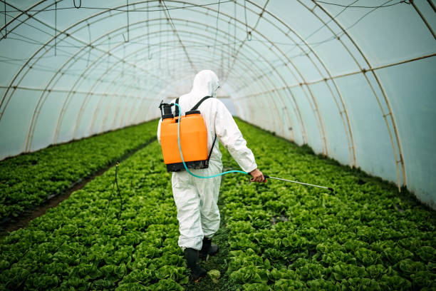 Best Pest Prevention Services  in Tomahawk, WI