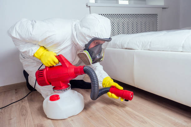 Best Termite Control Services  in Tomahawk, WI