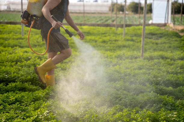 Best Wildlife Control Services  in Tomahawk, WI