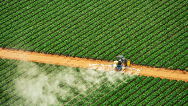 Trusted Tomahawk, WI Pest Control Experts