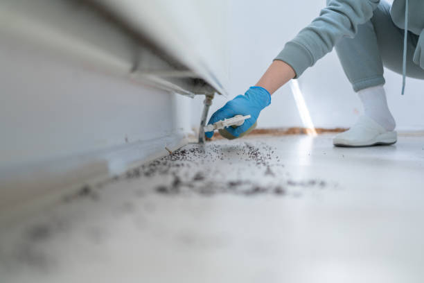 Best Residential Pest Control  in Tomahawk, WI